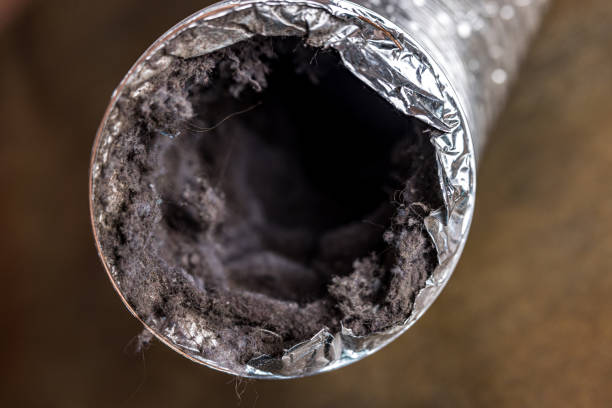 Best Affordable Air Duct Cleaning  in Hollister, CA